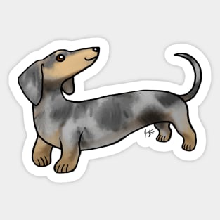 Dog - Smooth Haired Dachshund - Dapple Sticker